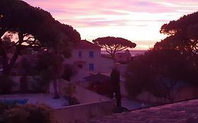 Mes Maisons A La Pinede